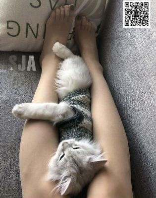 抵债的朋友妻子_JVID性感写真