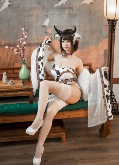 风之画员 电视剧_1080PBD在线观看